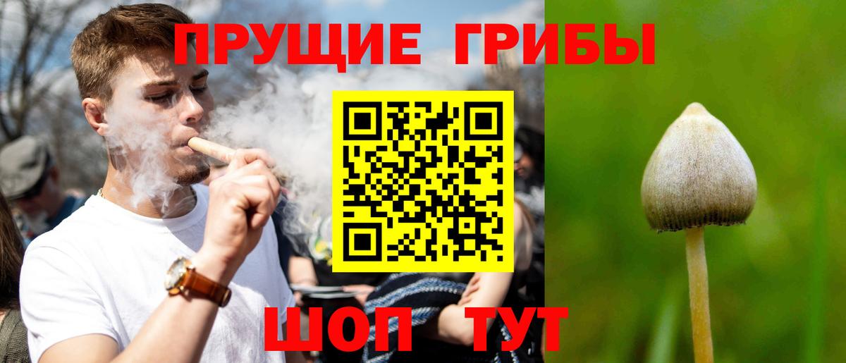 Галлюциногенные грибы Magic Shrooms Москва